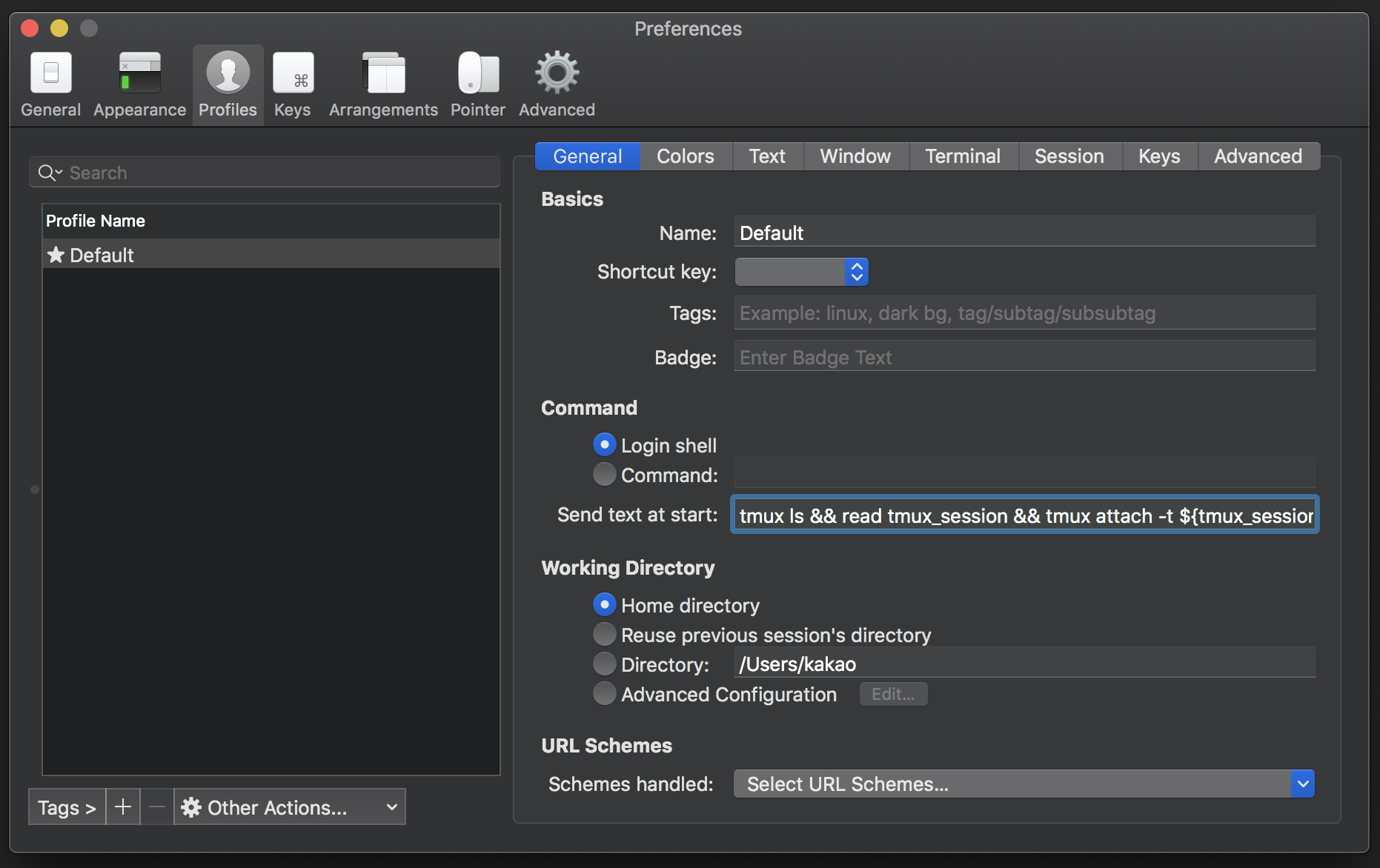 [Figure 1] tmux autorun setting with iTerm2