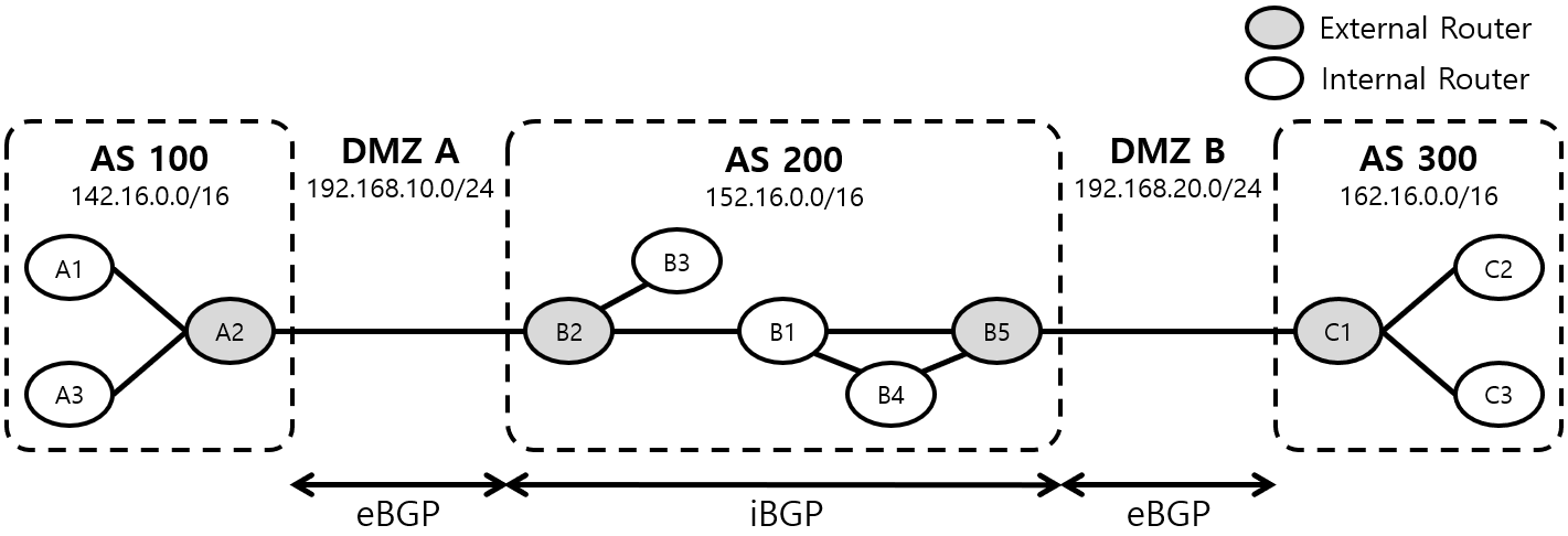 [Figure 1] BGP