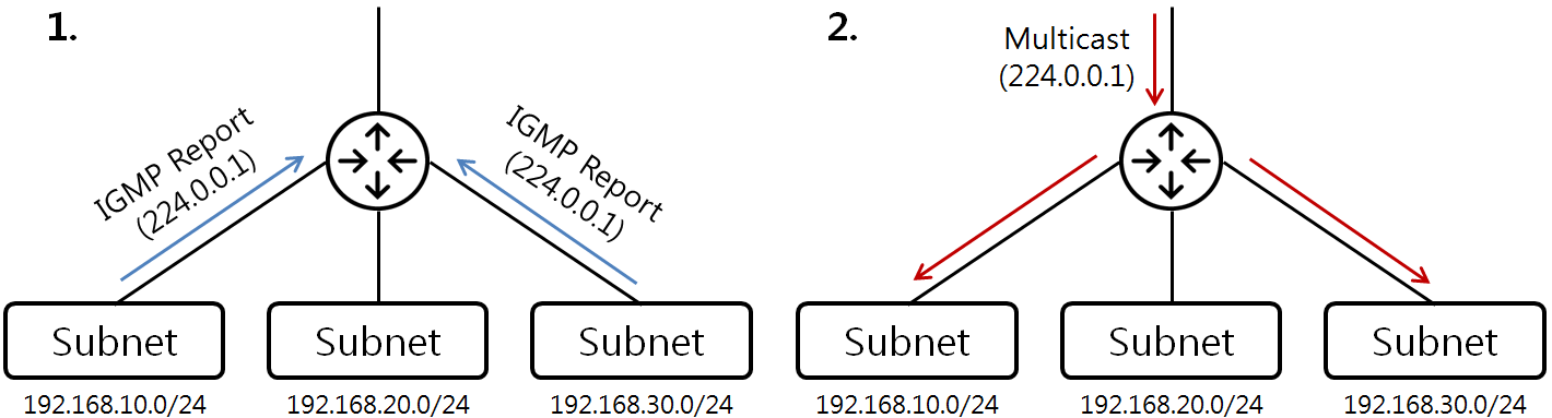 [Figure 2] IGMP Report